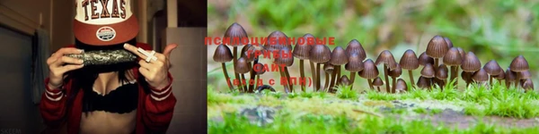MDMA Каменка