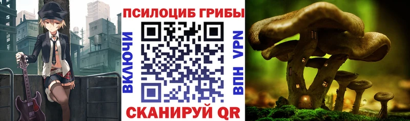 Псилоцибиновые грибы Cubensis Купить где Кандалакша