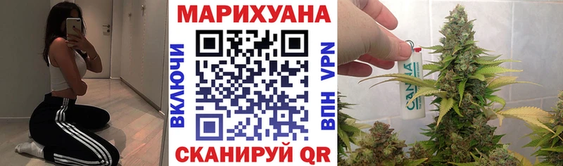 Купить где Кандалакша Шишки марихуана OG Kush